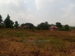 100by50ft Plot of Land for Sale at Bombo