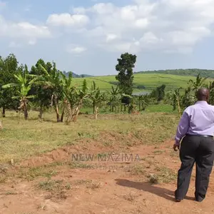 Kajjansi Nakigalala Prime Plots on Quicksale With Title