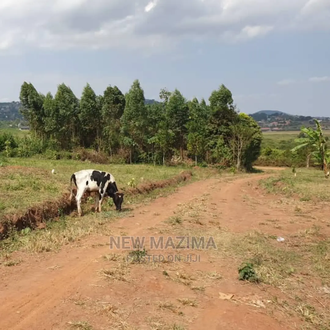 Kajjansi Nakigalala Prime Plots on Quicksale With Title