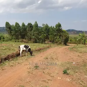 Kajjansi Nakigalala Prime Plots on Quicksale With Title