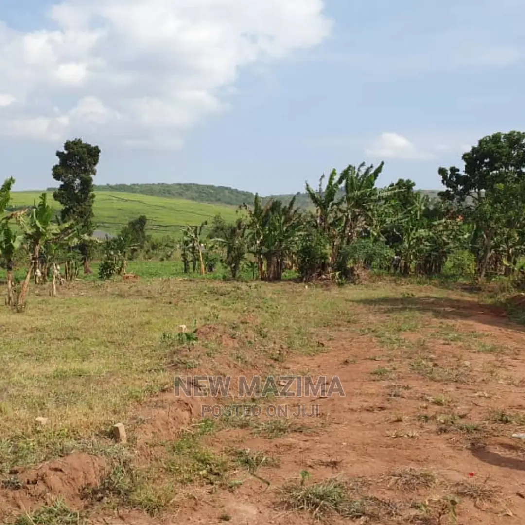 Kajjansi Ntebe Rd Nakilama Prime Plots Quicksale With Title