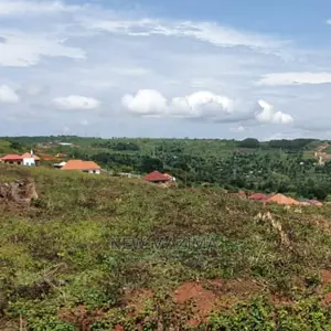 Kajjansi Ntebe Rd Nakilama Prime Plots Quicksale With Title