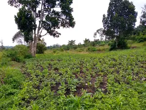 10acres of Land for Sale at Mukono Kabembe