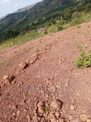 25decimals of Land for Sale at Wakiso
