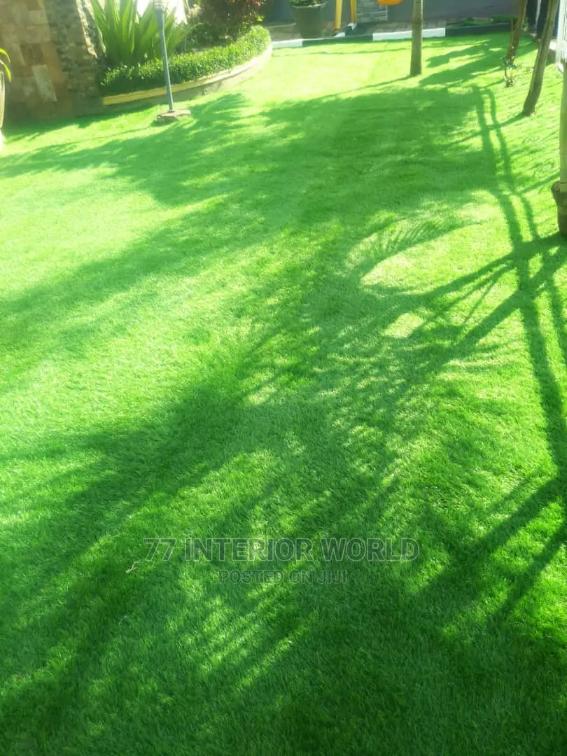 Artificial Grass Carpets