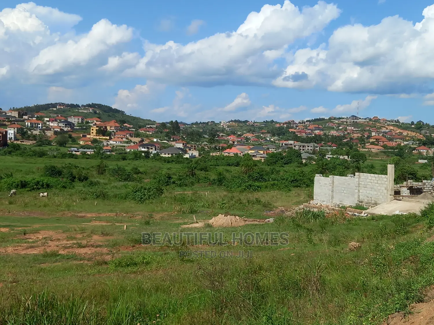 Kira Nice Estate of Plots on Sell