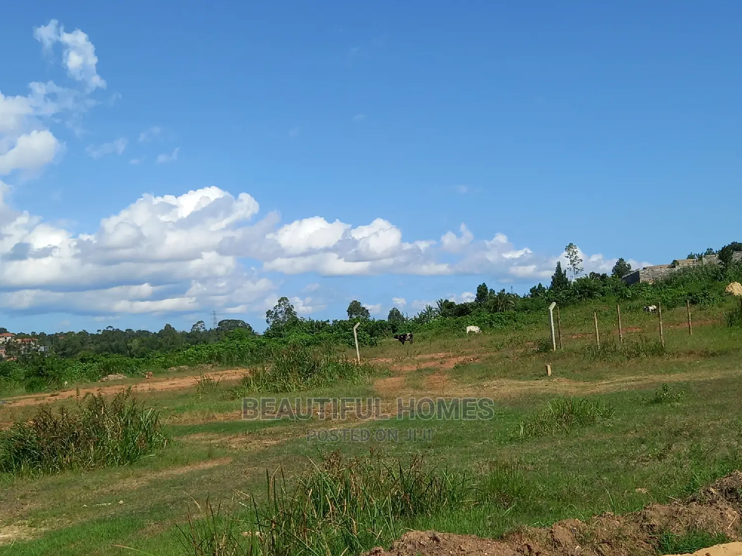 Kira Well Shaped Land for Sale