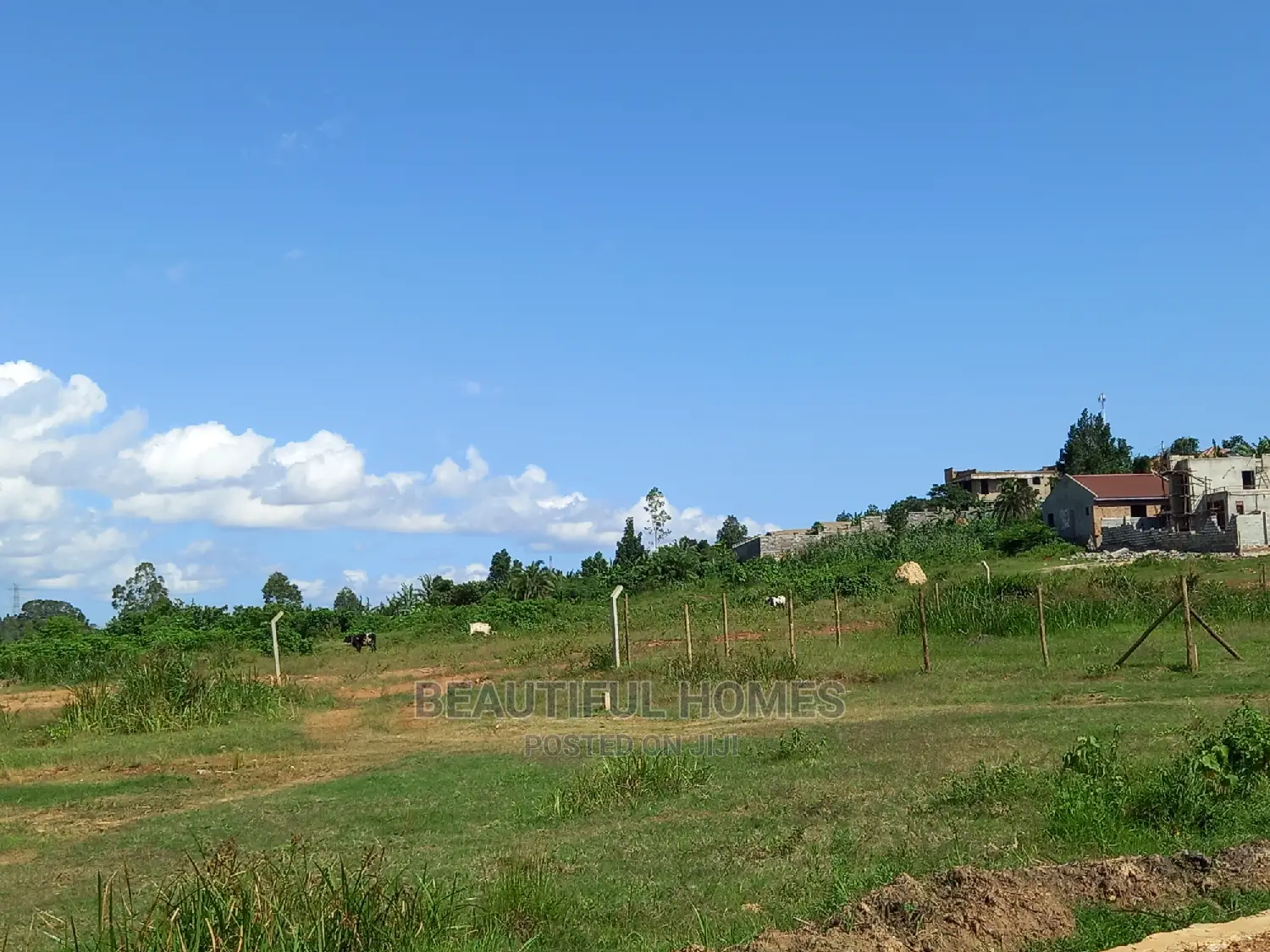 Kira New Plot on Sell