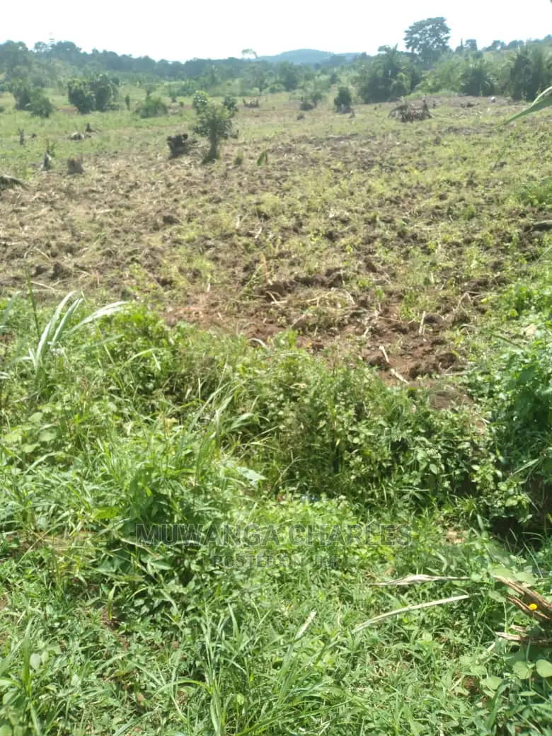 100by50ft Plot of Land for Sale at Gayaza Namulonge