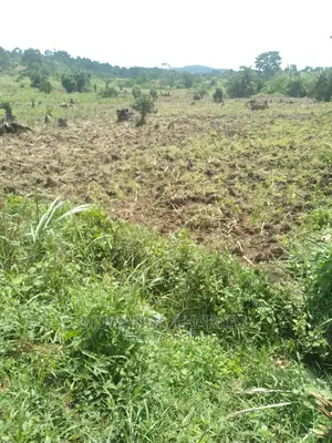 100by50ft Plot of Land for Sale at Gayaza Namulonge