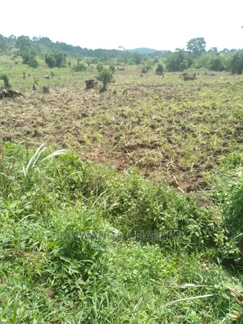 100by50ft Plot of Land for Sale at Gayaza Namulonge