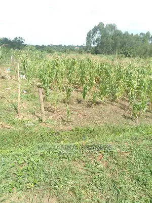 100by50ft Plot of Land for Sale at Gayaza Namulonge
