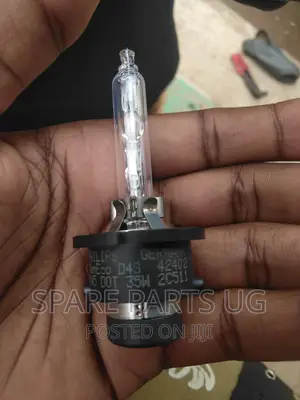 D4 / D2 Xenon Bulbs