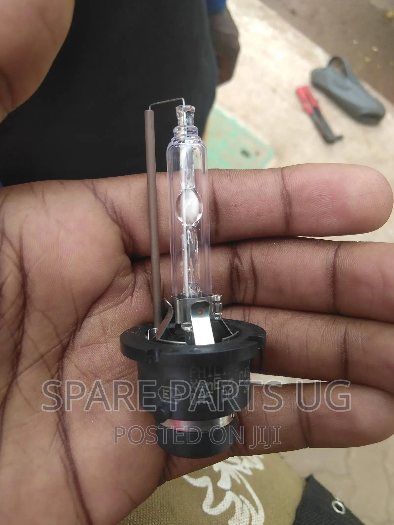 D4 / D2 Xenon Bulbs