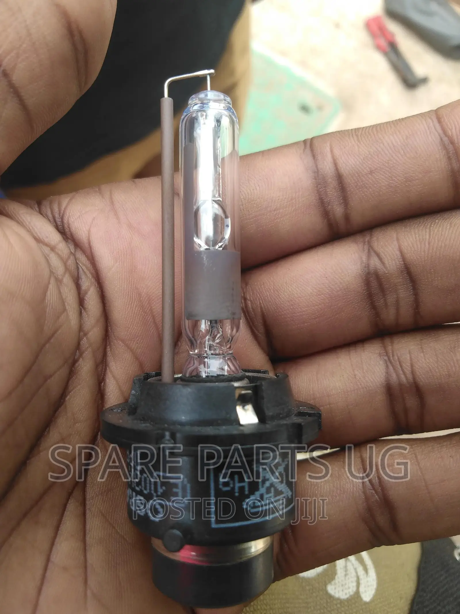 D4 / D2 Xenon Bulbs