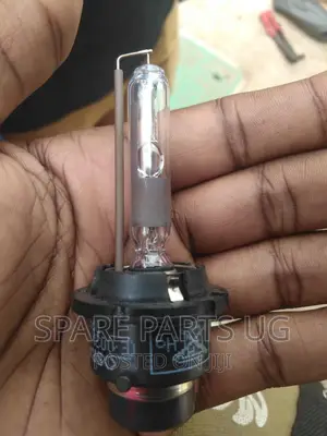 D4 / D2 Xenon Bulbs