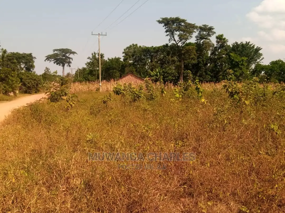 100by50ft Plot of Land for Sale at Busukuma Gayaza