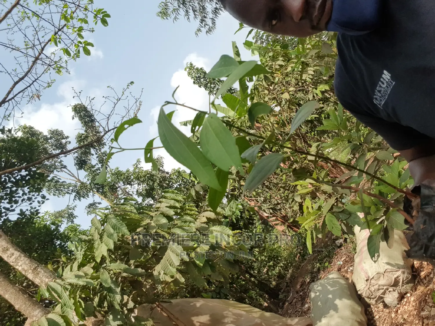 Premiere Incorporate Agriculture Products