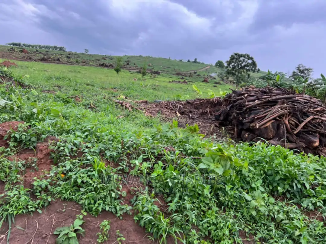 100by50ft Plot of Land for Sale at Busika