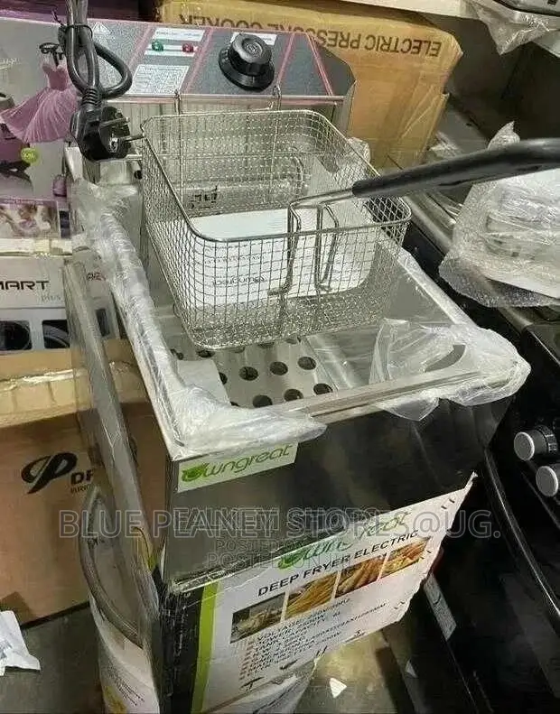 Owngreat 6.0litres Single Deep Fryers || 2500w || OG-DF10
