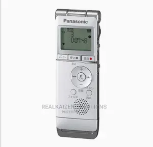 PANASONIC RR-XS350 Silver 2GB Inbuilt Memory Sound Recorder