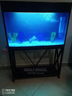Photo - We Make Fantastic Aquarium in All Shapes