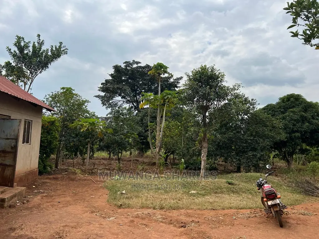 5acres for Sale at Janda Zirobwe