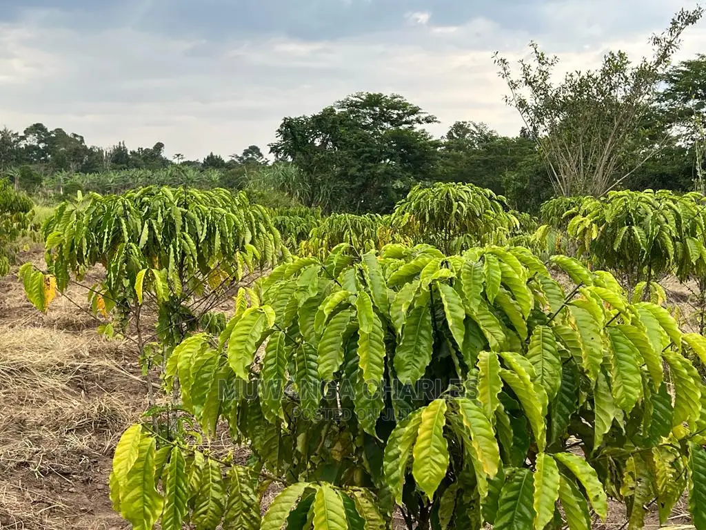 5acres for Sale at Janda Zirobwe