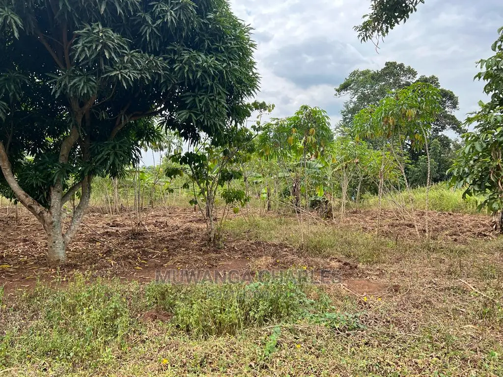 5acres for Sale at Janda Zirobwe