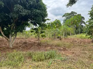 5acres for Sale at Janda Zirobwe
