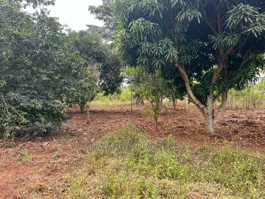 5acres for Sale at Janda Zirobwe