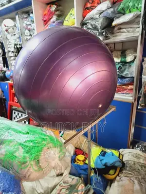 High Quality Yoga Ball/Gym Balls