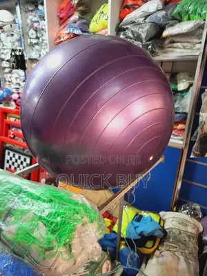 High Quality Yoga Ball/Gym Balls