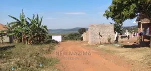 Private Mile Titled Plot on Quicksale Is Found Here in Kigo