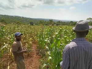 20acres for Sale at Luwero