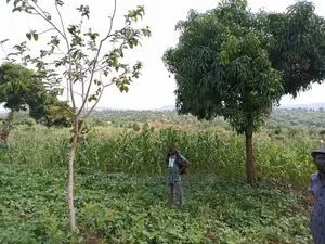 20acres for Sale at Luwero