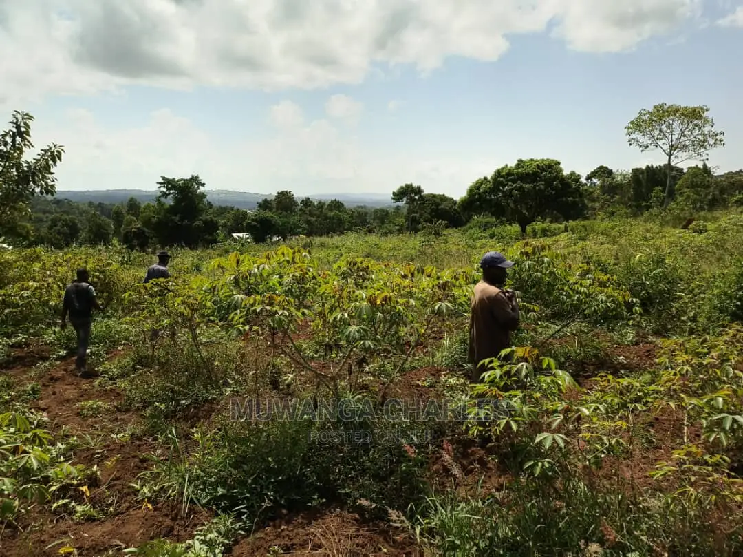 20acres for Sale at Luwero