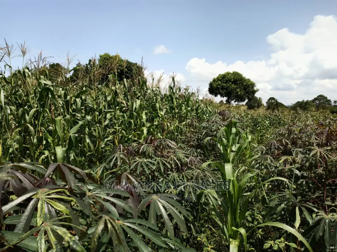 20acres for Sale at Luwero