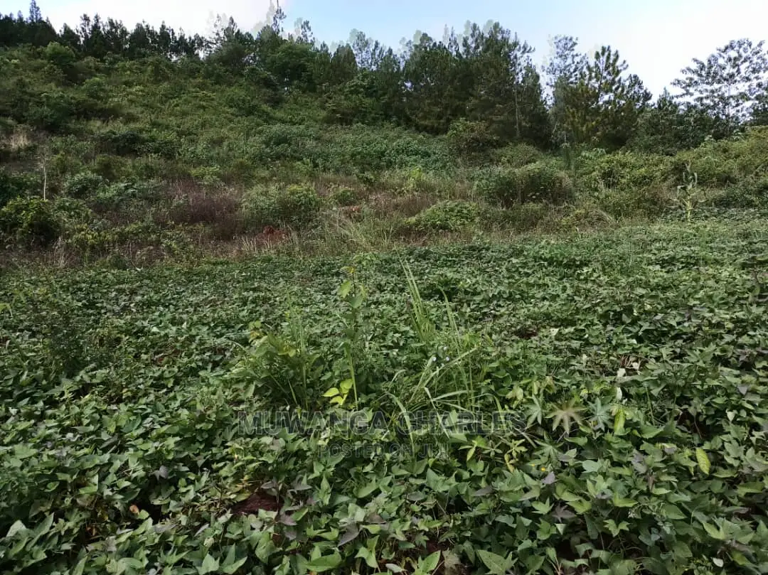 20acres for Sale at Luwero
