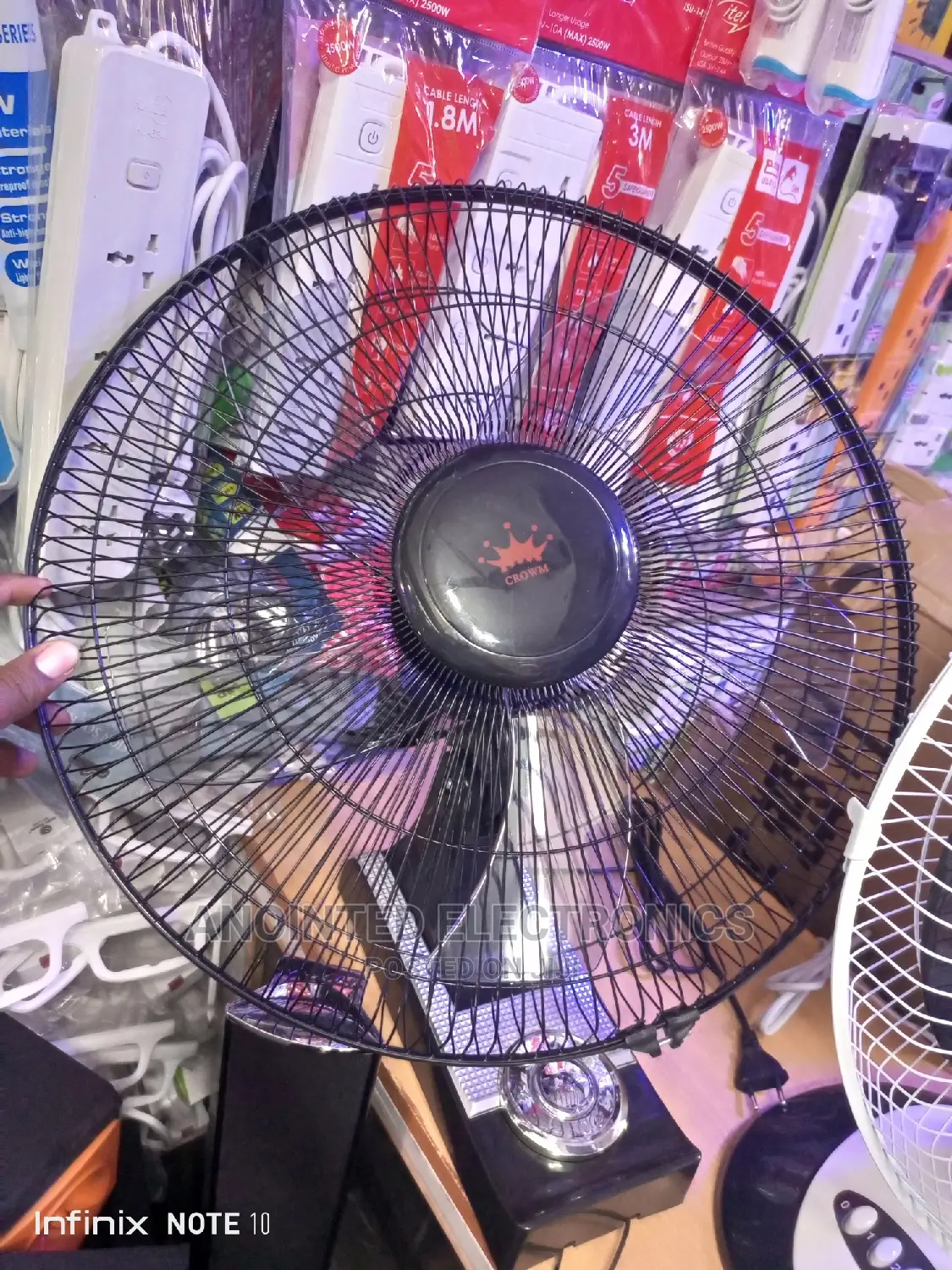 Wall Fans Black Crown