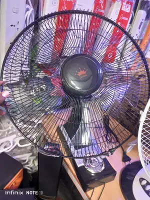 Wall Fans Black Crown