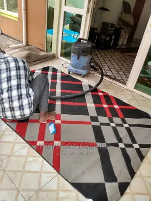 Detailed Carpet Cleaning in Progress