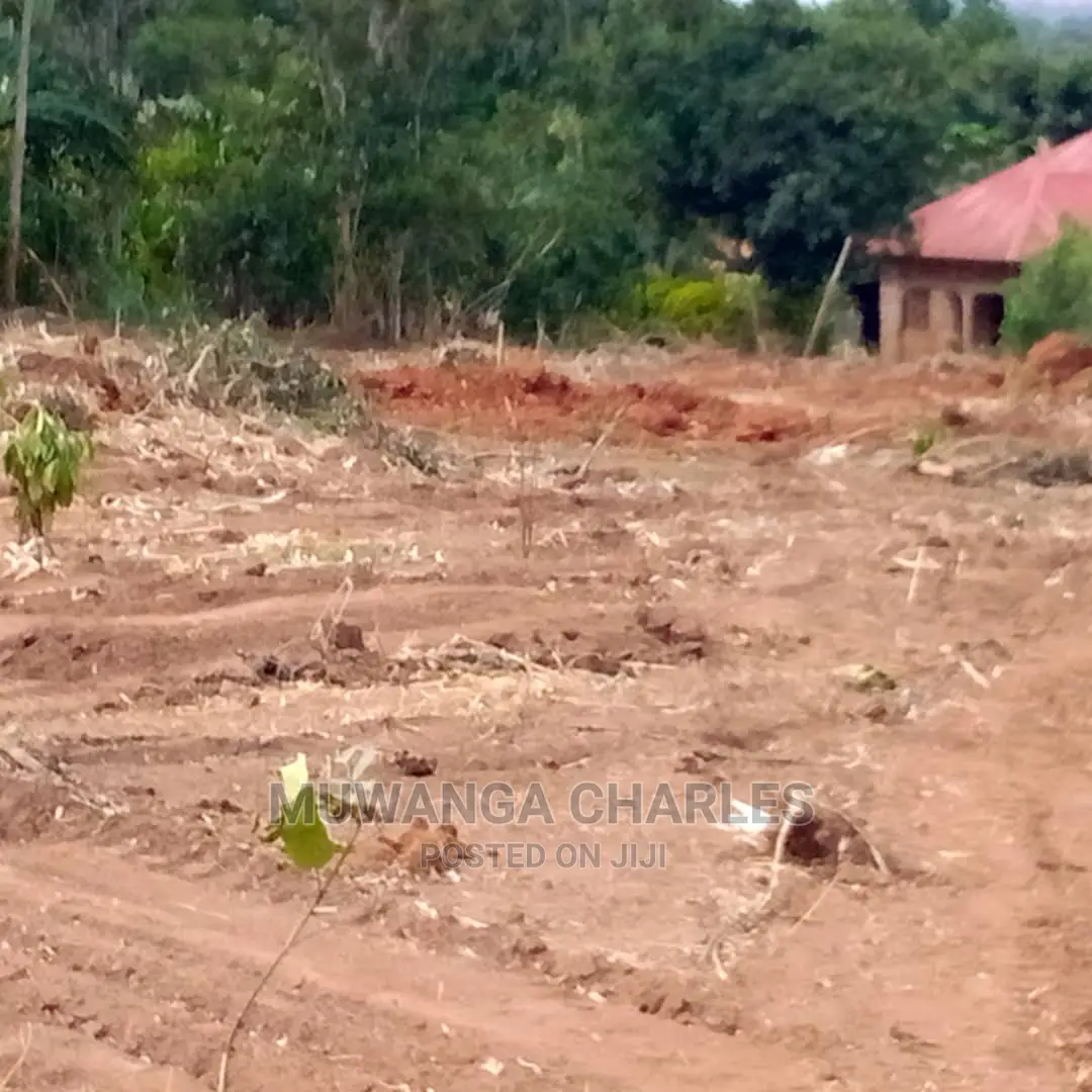 12decimals Plot of Land for Sale at Busukuma