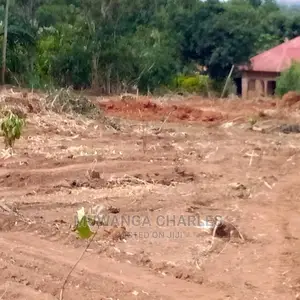 12decimals Plot of Land for Sale at Busukuma