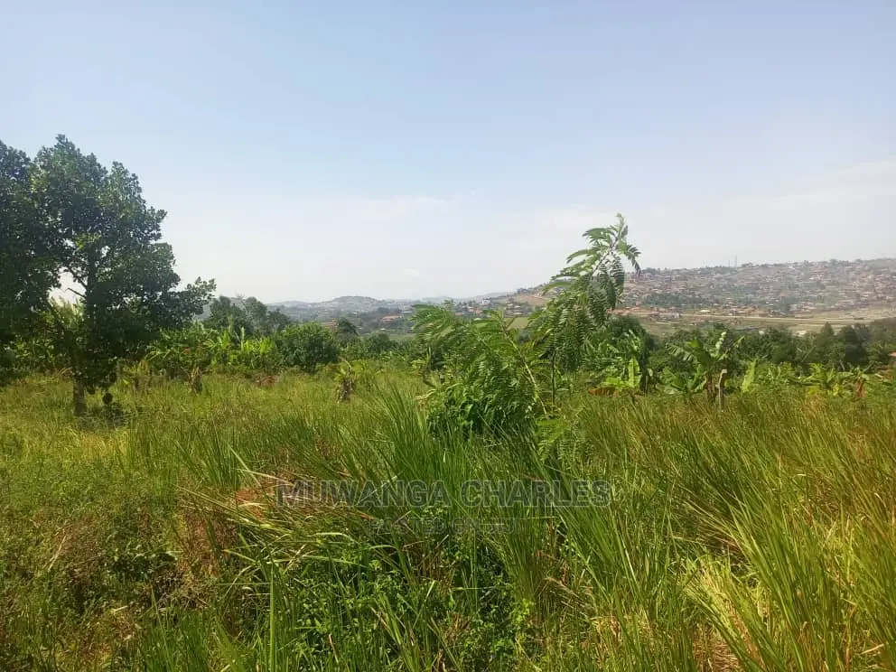 10ares of Land for Sale at Zirobwe