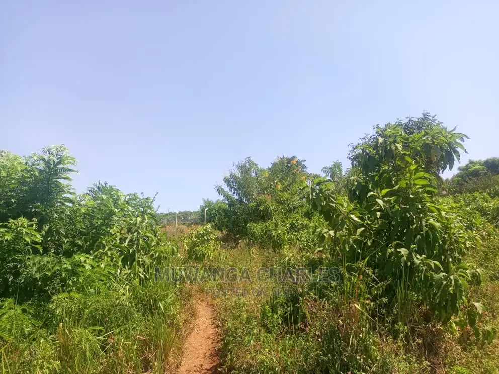10ares of Land for Sale at Zirobwe