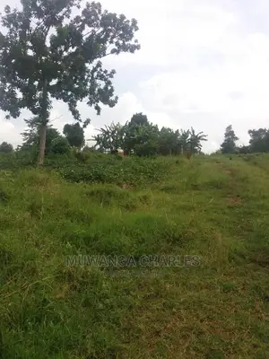 100by50ft Plot of Land for Sale at Busukuma