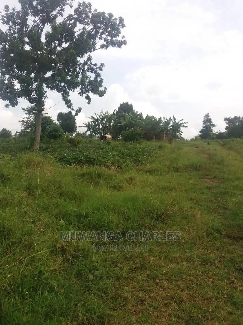 100by50ft Plot of Land for Sale at Busukuma