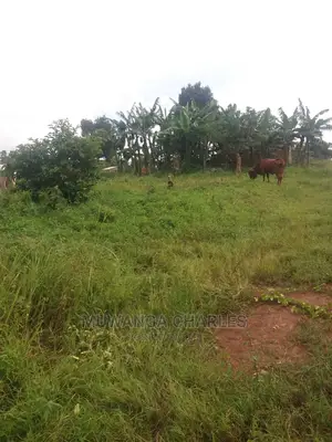 100by50ft Plot of Land for Sale at Busukuma
