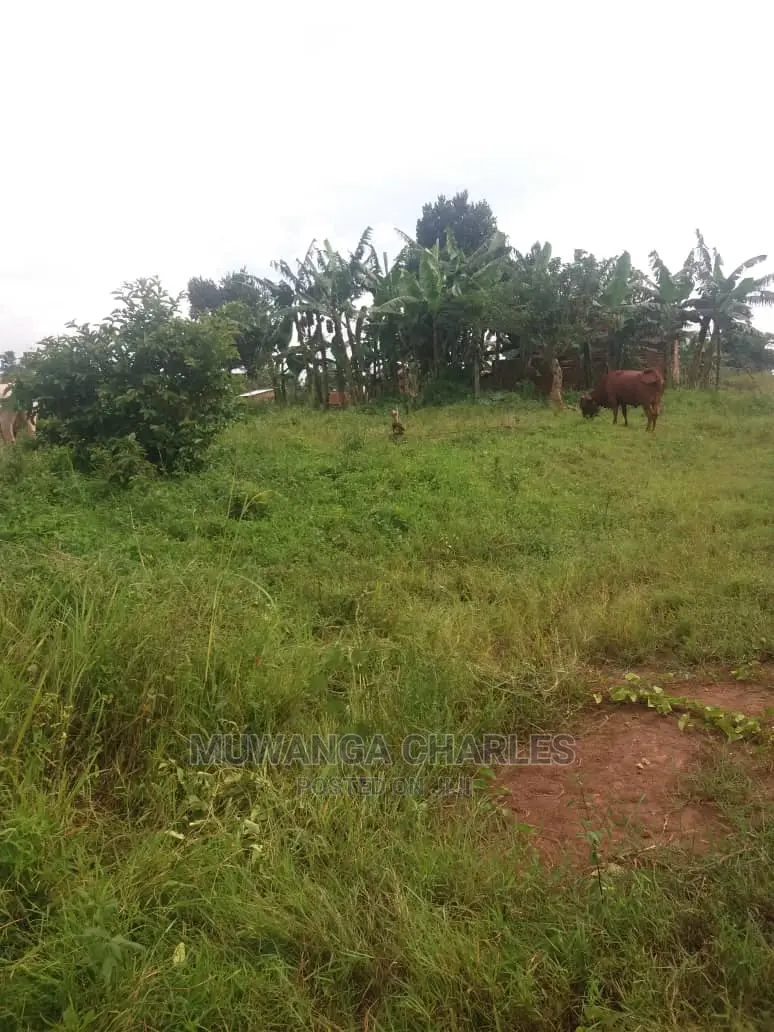 100by50ft Plot of Land for Sale at Busukuma